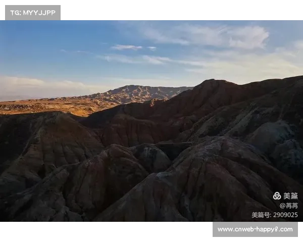 新疆霍尔果斯擂台引入电子护具系统实现打击力量可视化创新应用